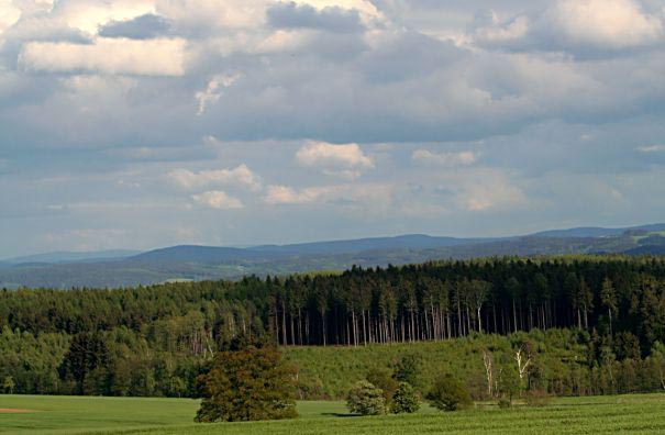 Wald_und_Wolken